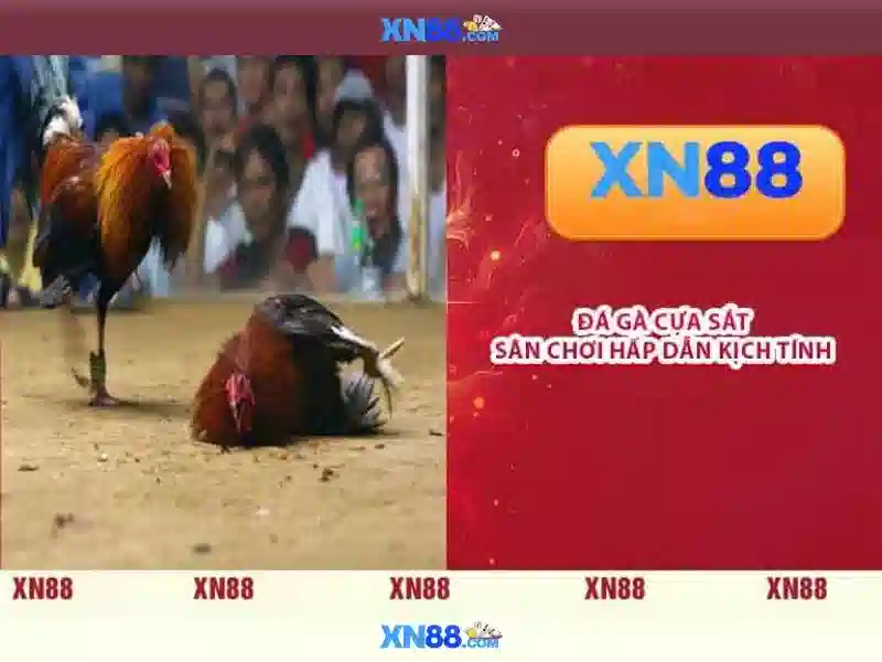 💎nha cai uy tin 20vui vote💎 💎nha cai uy tin 20vui vote💎