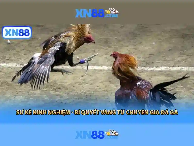 💎the rise of ai slot💎 💎the rise of ai slot💎