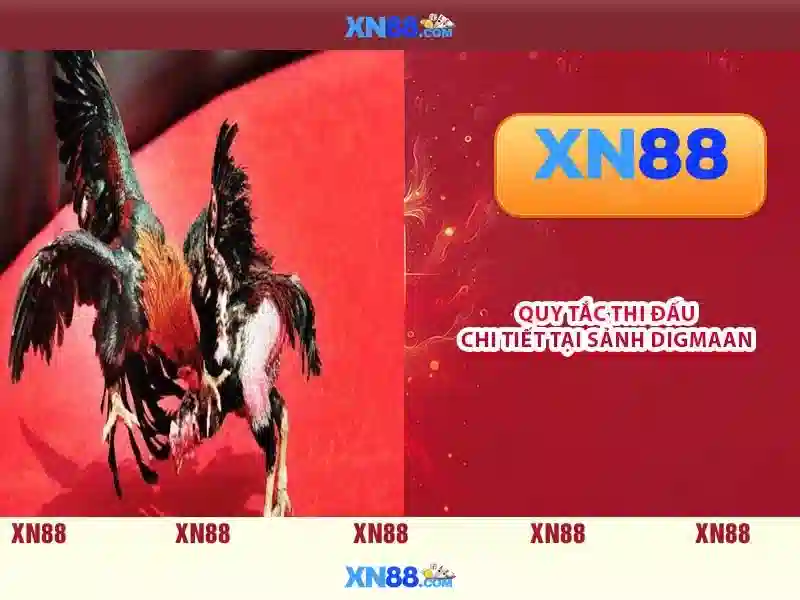 💎nhà cái t8bet💎 💎nhà cái t8bet💎