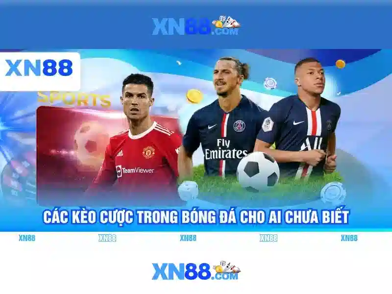 💎vertical slot fish ladder💎 💎vertical slot fish ladder💎