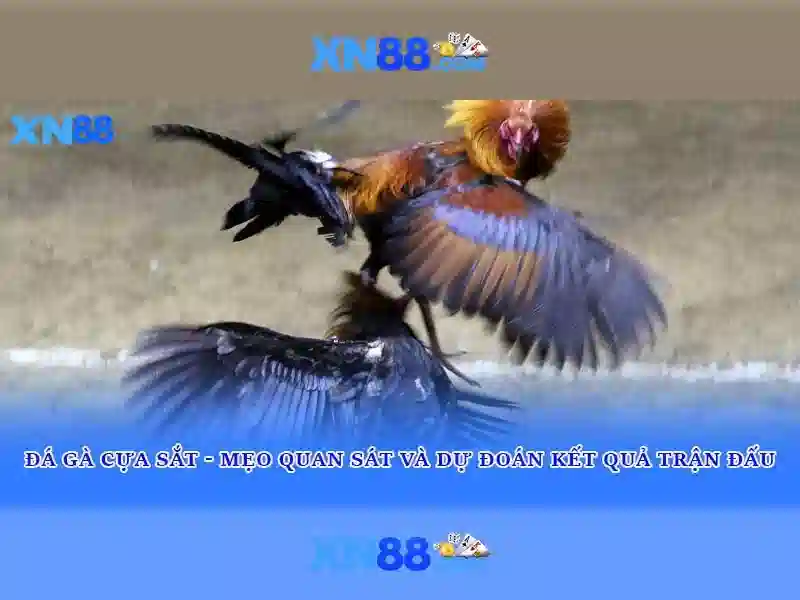 💎ứng dụng cá cược uy tín💎 💎ứng dụng cá cược uy tín💎