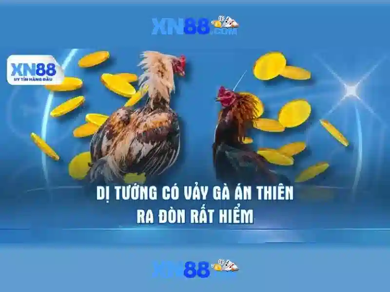 💎slots rummy💎 💎slots rummy💎