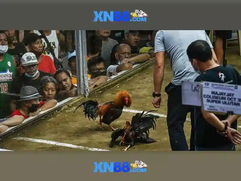 💎tỷ lệ kèo nhà cái tốt nhất💎 💎tỷ lệ kèo nhà cái tốt nhất💎