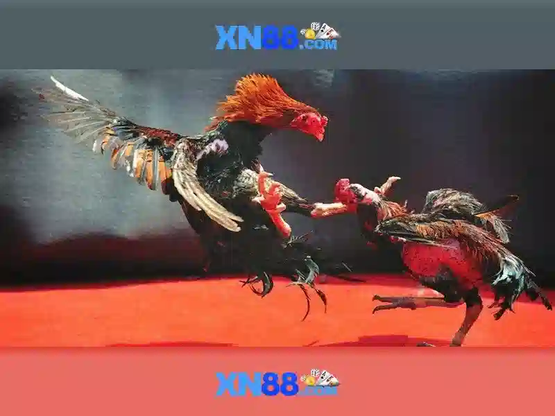 💎real casino online slots💎 💎real casino online slots💎