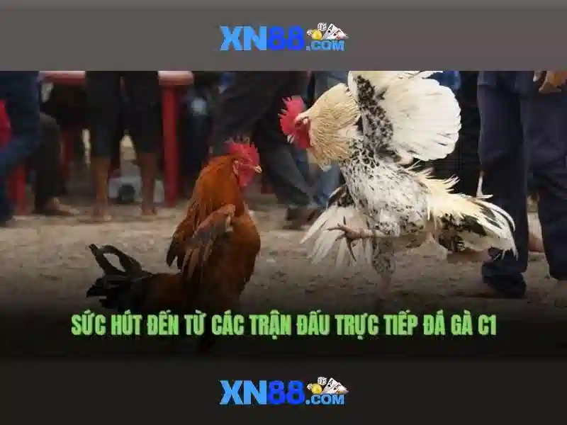 💎kèo nhà cái bóng đá hôm.nay💎 💎kèo nhà cái bóng đá hôm.nay💎