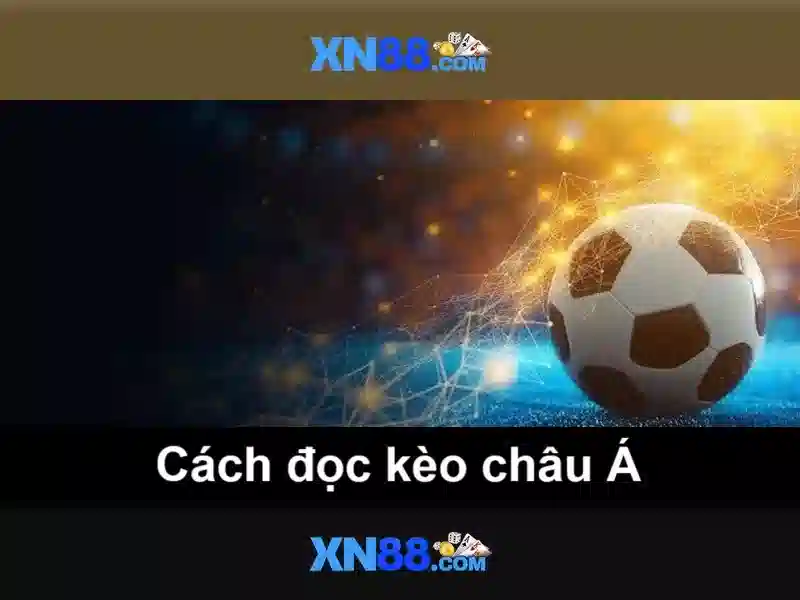 💎hợp pháp hóa cá cược bóng đá💎 💎hợp pháp hóa cá cược bóng đá💎