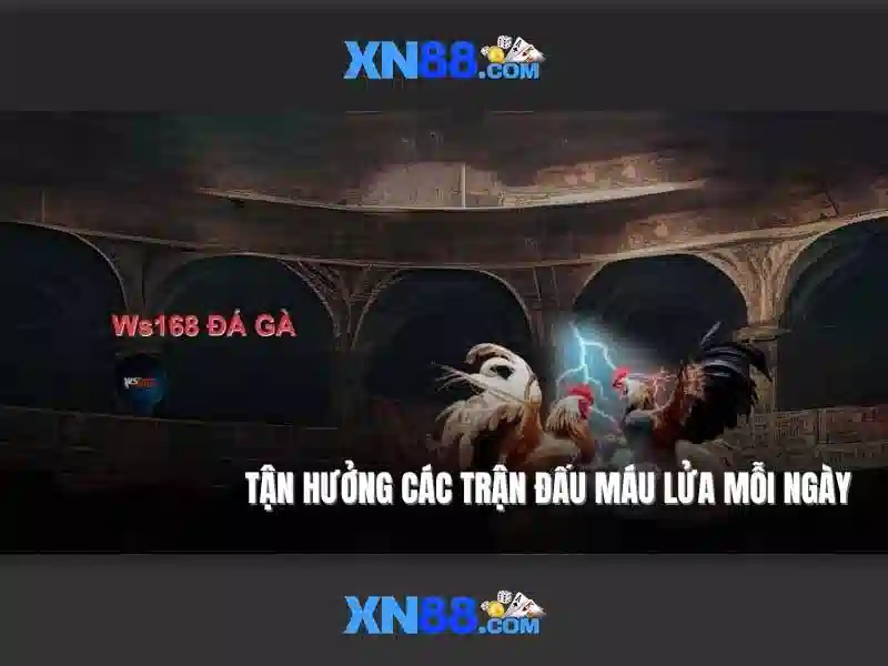 💎bản tỷ số kèo nhà cái💎 💎bản tỷ số kèo nhà cái💎