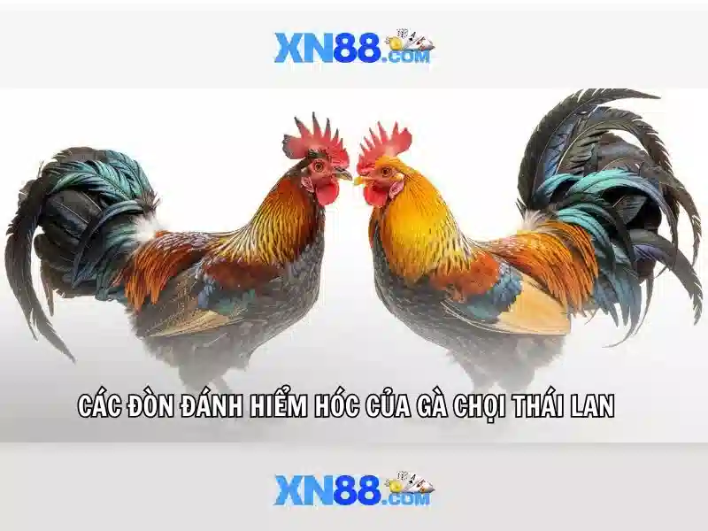 💎soi cau mien nam 888💎 💎soi cau mien nam 888💎