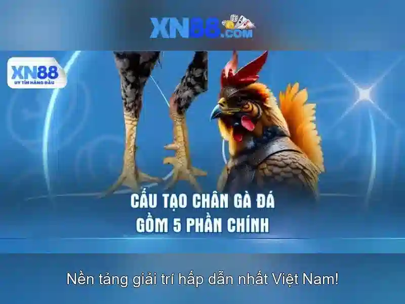 💎tatsumaki slots chances💎 💎tatsumaki slots chances💎