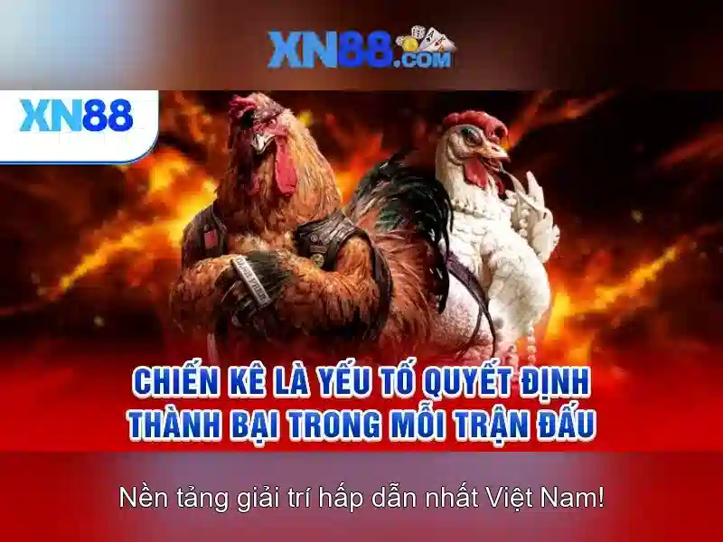 💎kèo trực tiếp nhà cái hôm nay💎 💎kèo trực tiếp nhà cái hôm nay💎