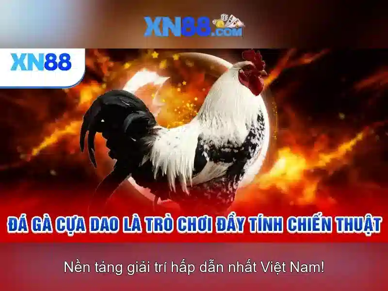 💎vụ đánh bạc ở thừa thiên huế💎 💎vụ đánh bạc ở thừa thiên huế💎