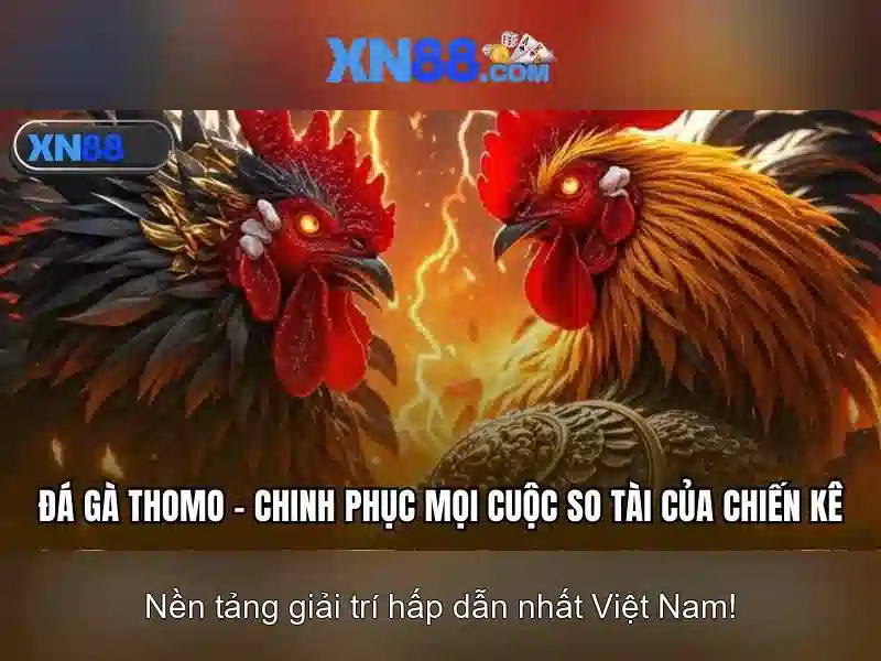 💎bắc kỳ bị đánh💎 💎bắc kỳ bị đánh💎