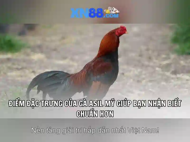 💎slots villa $200 free chip💎 💎slots villa $200 free chip💎