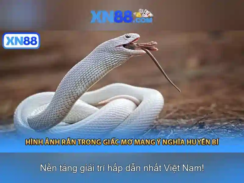 💎kèo nhà cái ý💎 💎kèo nhà cái ý💎