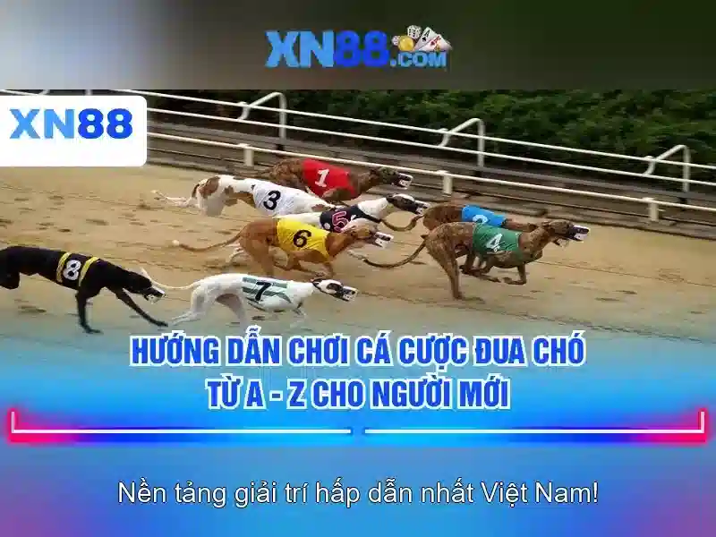 chơi slot miễn phí - xn88 chơi slot miễn phí - xn88