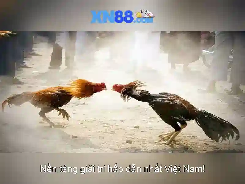 💎nhà cái uy tín onlinecasi💎 💎nhà cái uy tín onlinecasi💎