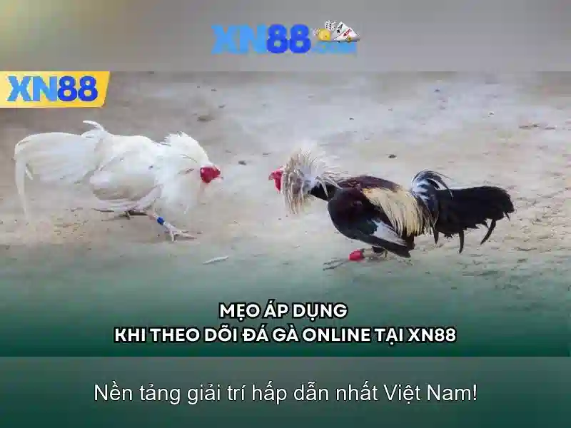 💎slot winning rate💎 💎slot winning rate💎