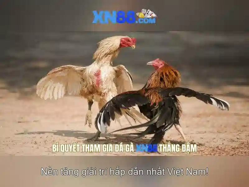 💎nhà máy supe lân lào cai💎 💎nhà máy supe lân lào cai💎