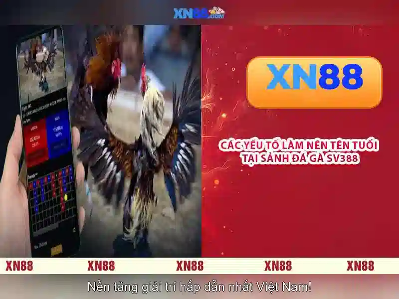 💎mgm grand slots💎 💎mgm grand slots💎