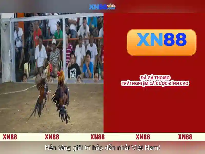 💎nhà nghỉ ở cai lậy, tiền giang💎 💎nhà nghỉ ở cai lậy, tiền giang💎